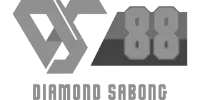 OPay logo